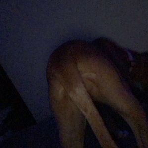 Meet your Posher, Waylon